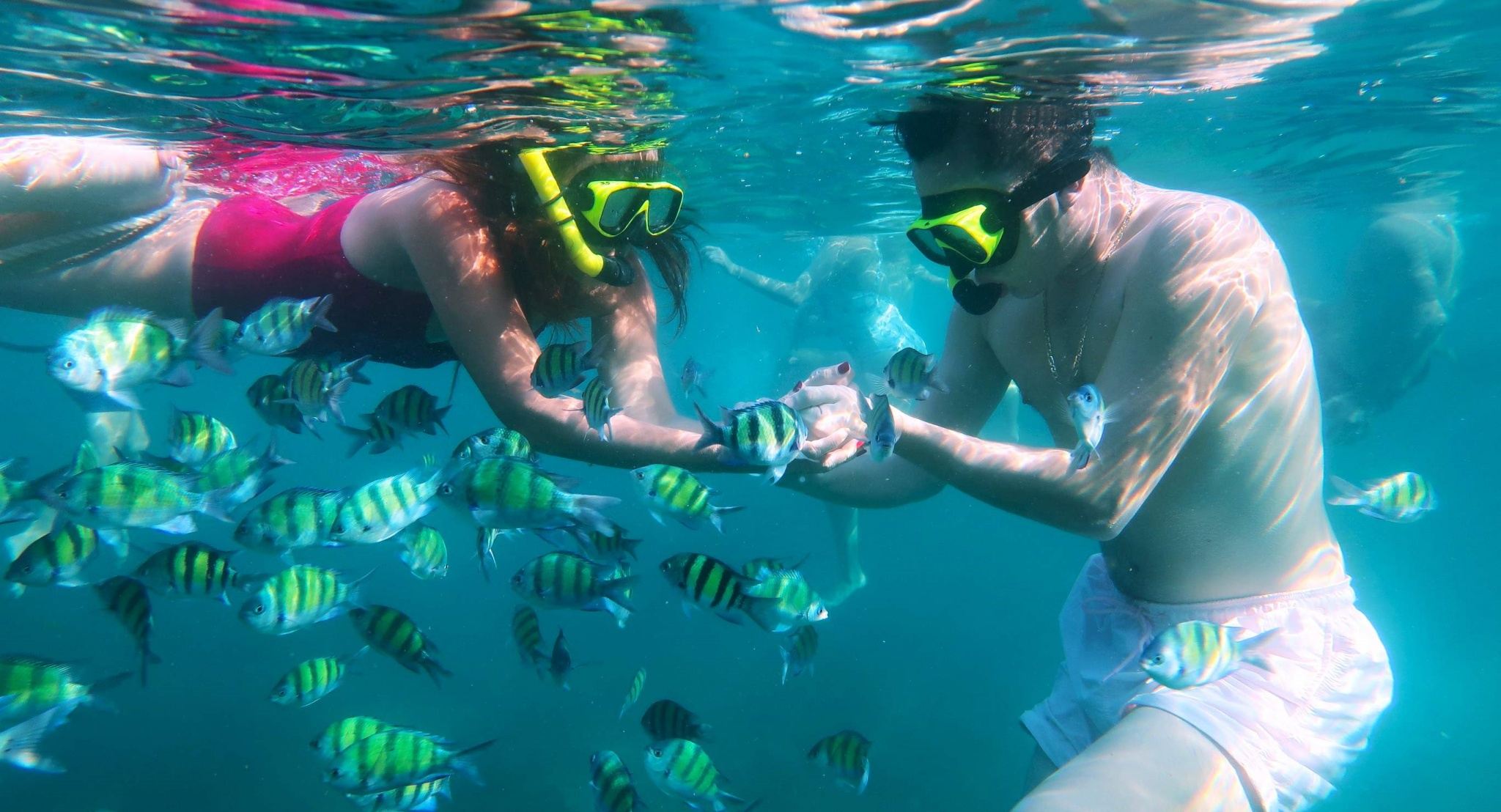 Phuket half-day speedboating and snorkeling tour to 3 Koh Khai islands [choose morning/afternoon session with transfer + guide]