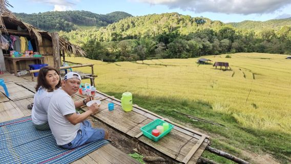 Chiangmai : Experience the magic of Mexican Sunflower field