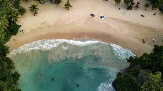 From Kingston: One Way Shared Transfer to Port Antonio