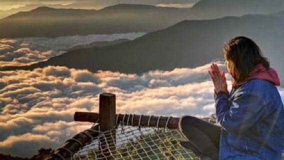 Santa Marta: Full Day in the Mountains with Lunch and Coffee Tasting