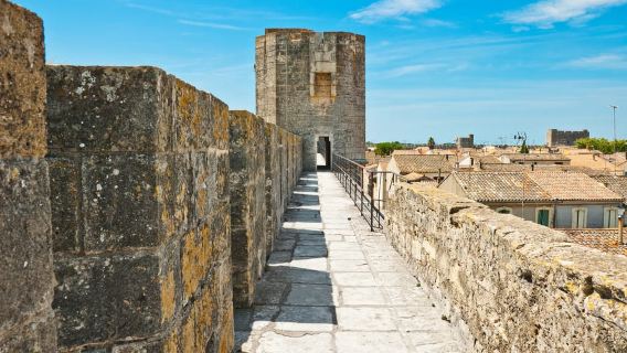 Aigues Mortes: biglietto d'ingresso alle mura medievali