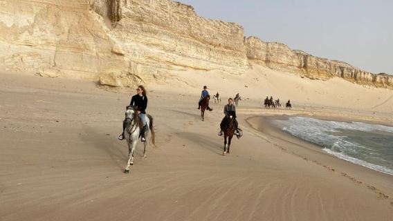 Dakhla: Horseback Riding Tour