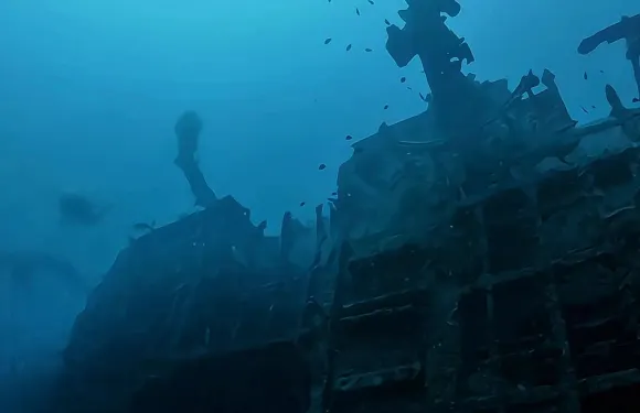 菲律賓科隆珊瑚花園&沉船體驗潛水|酒店接送/中文教練/含裝備