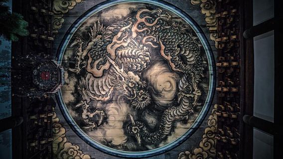 El esplendor de los cerezos en flor en Kioto: un recorrido de 3 horas por los cerezos en flor