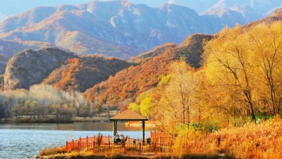 玉渡山純玩1日遊【京郊小洱海+湖泊+高山草甸】