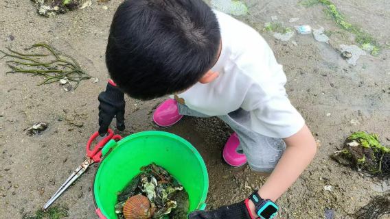 2-stündige Muschelsammel-Erfahrung am privaten Strand der Qing'ao-Bucht auf Nan'ao Island in Shantou (inklusive Sammelwerkzeugen, persönlicher Beute und kostenloser einfacher Zubereitung)