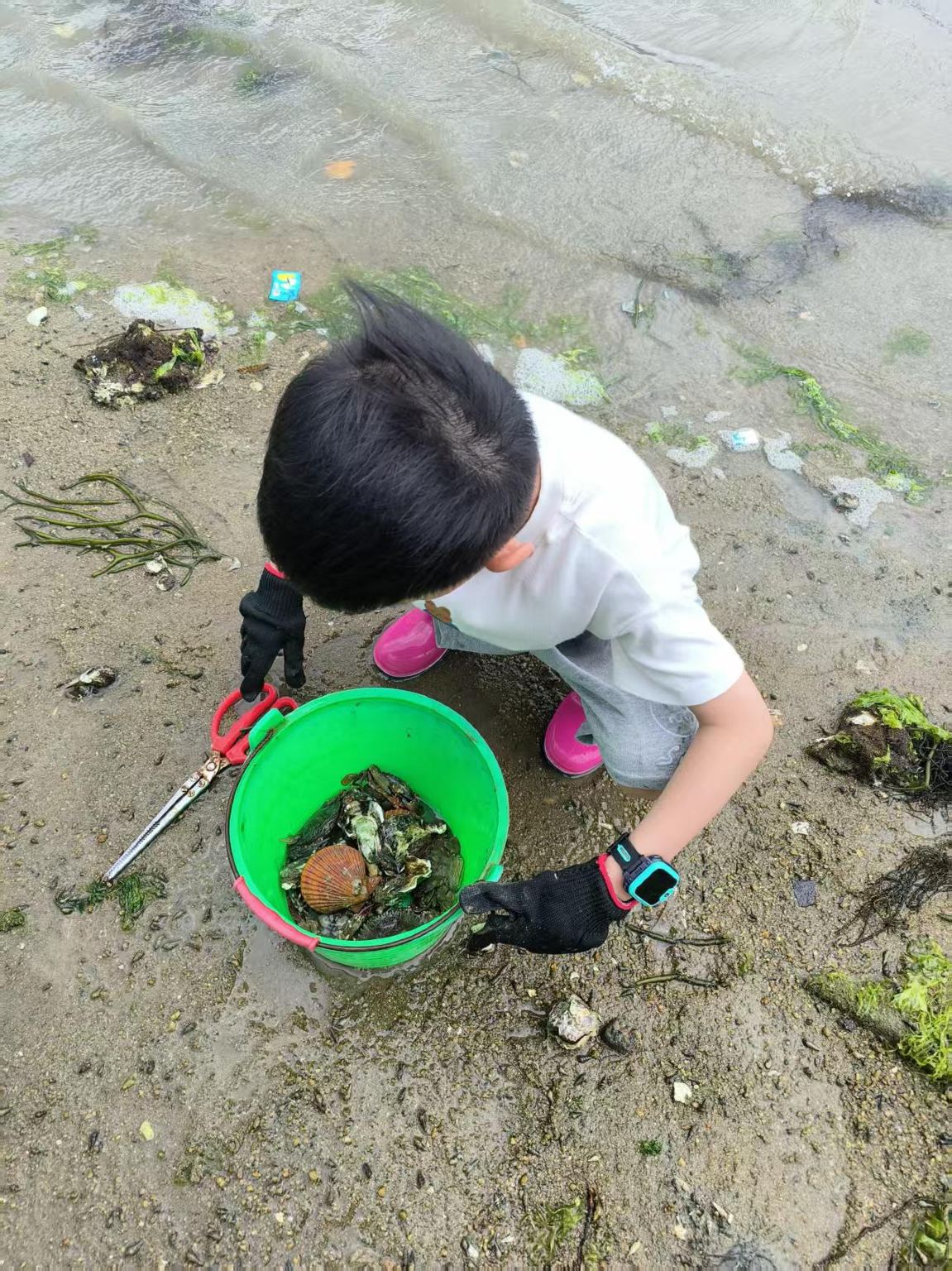 ประสบการณ์เก็บหอย 2 ชั่วโมงที่หาดส่วนตัว คิงอาว เบย์ เกาะหนานอาว รีสอร์ทดาเปง (รวมเครื่องมือเก็บหอย + ของที่เก็บได้เป็นของส่วนตัว + สามารถแปรรูปอาหารง่ายๆ ได้ฟรี)