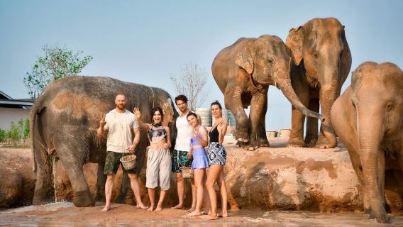 Bangkok round-trip 1-day tour to Pattaya Elephant Village + Tiger Park + live shooting experience