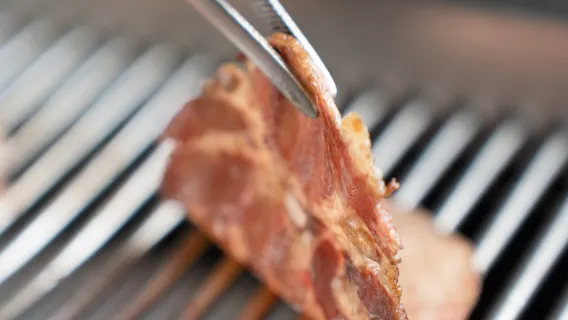 Oksetunge + kødsushi + wagyu grillbuffet menu - Grillmad 8
