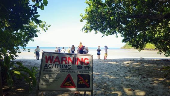 Cairns: Excursión Premium a Cabo Tribulación y la Selva Tropical de Daintree