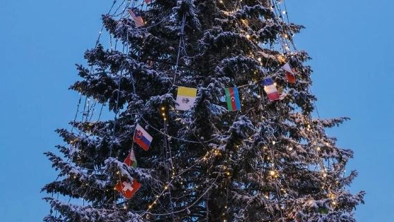 芬蘭羅瓦涅米+聖誕老人村一日遊/行程可調-可訂製