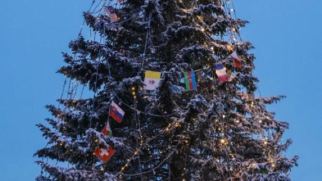 Finland Rovaniemi + Santa Claus Village day tour / Adjustable itinerary - Customizable