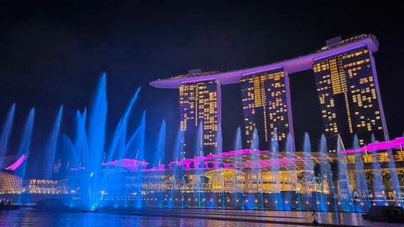 シンガポール発｜ガーデン・ラプソディー＋船上からのスペクトラ　ライトアップショー鑑賞夜景ツアー｜日本語ガイド付き　