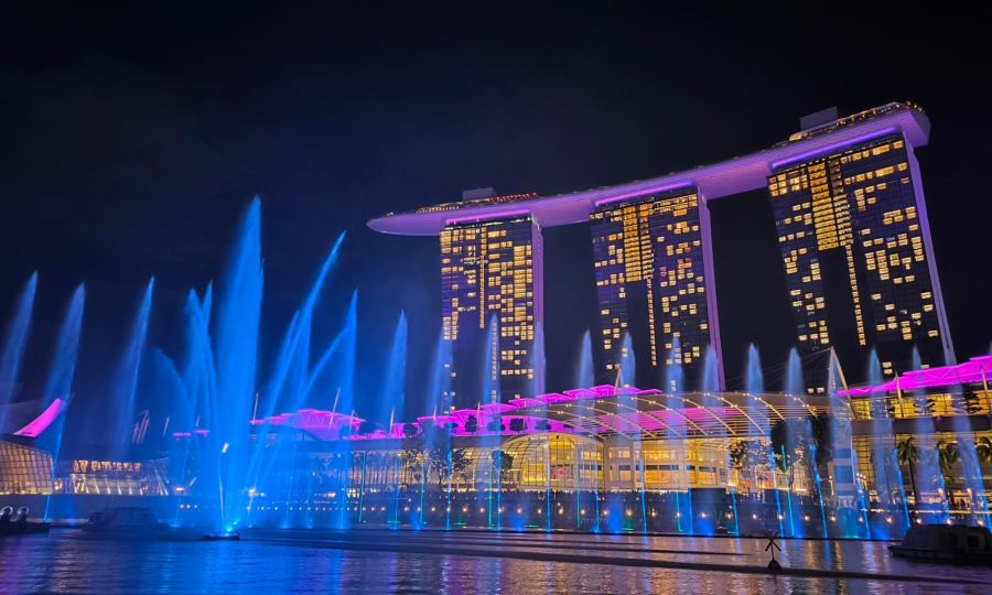 シンガポール発|ガーデン・ラプソディー+船上からのスペクトラ ライトアップショー鑑賞夜景ツアー|日本語ガイド付き