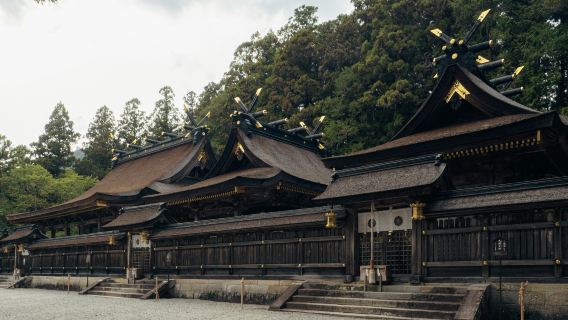 Tokyo Nikko Classic Day Tour (Toshogu Shrine / Irohazaka Winding Road / Kegon Waterfalls / Lake Chūzenji)