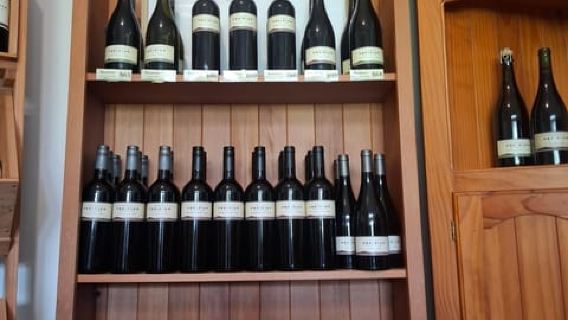 ประสบการณ์บูติก: ทัวร์ห้องเก็บไวน์ที่ดีที่สุดบนเกาะไวเฮเกะ