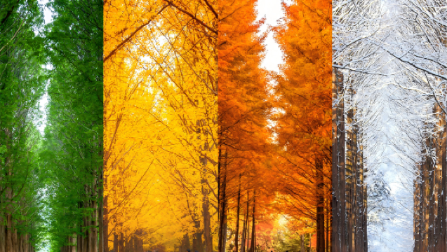 【首爾精選路線】南怡島+小法國村+【中文包車服務/行程可調】