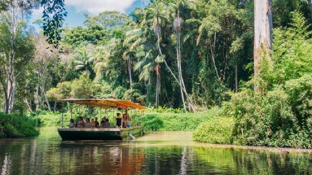 Tropical Fruit World Farm Full Tour