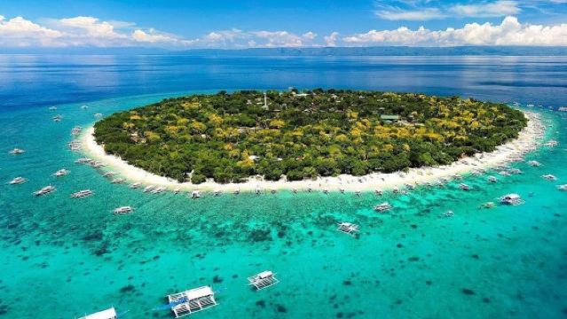 1-day tour in Bohol Island: Dolphin Watching & Balicasag Island Snorkeling with Turtles and Coral Reefs