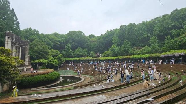 15人團鐘山風景｜中山陵景區+美齡宮+明孝陵+音樂台打卡一日活動
