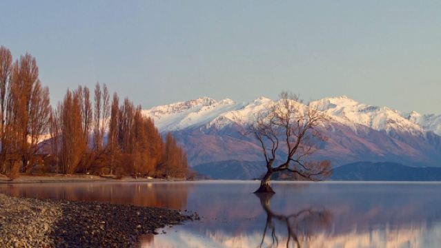 Queenstown Round-Trip: Arrowtown + Wanaka Half-Day Tour (4-15 Person Group)