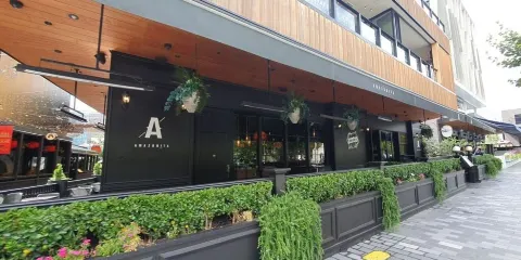 基督城新攝政街+河岸市集+紙板大教堂+美術館+地震館中文地陪