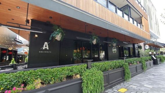 基督城新攝政街＋河岸市集＋紙板大教堂＋美術館＋地震館中文地陪