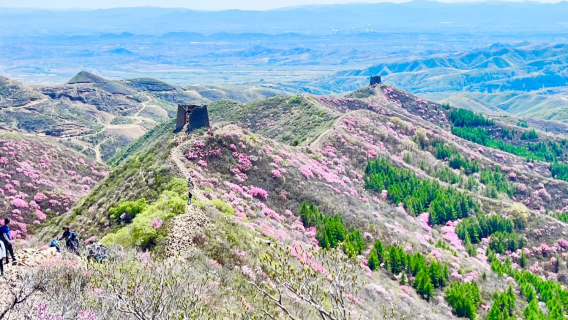 青邊口長城1日【長城看榆葉梅+12公里環穿】