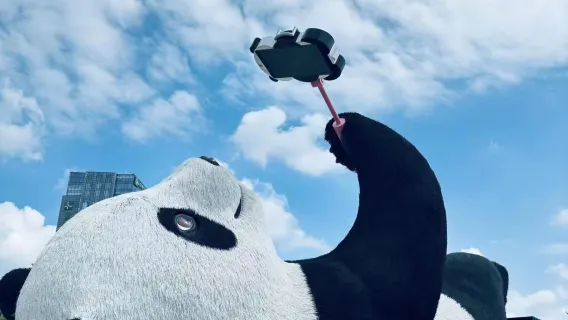 Chengdu Departure: Dujiangyan Scenic Area + Panda Valley + Zhongshuge + Selfie Panda (Private Tour with Driver and Car Rental)