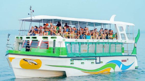 Excursión de medio día para avistamiento de ballenas en Mirissa (incluye guía + desayuno + crucero de lujo)