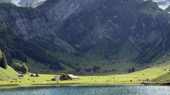 Switzerland nationwide - multilingual professional interpreter | local guide | exhibition interpreter | business companion