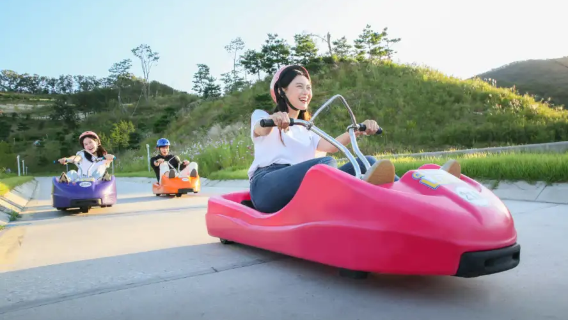 Excursion d'une demi-journée en luge sur pente de Ganghwa avec trajet aller-retour depuis Séoul