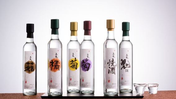 Experiencia de cata de soju Samhae en la Universidad Hongik de Seúl, Corea (visita guiada con explicaciones de expertos, cultura del licor antiguo y degustación de diversas variedades de soju)