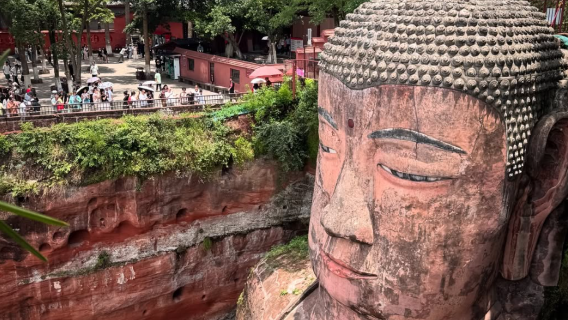 Panda Base + Leshan Giant Buddha dagstur | Alle billetter inkluderet | Engelsk-talende guide