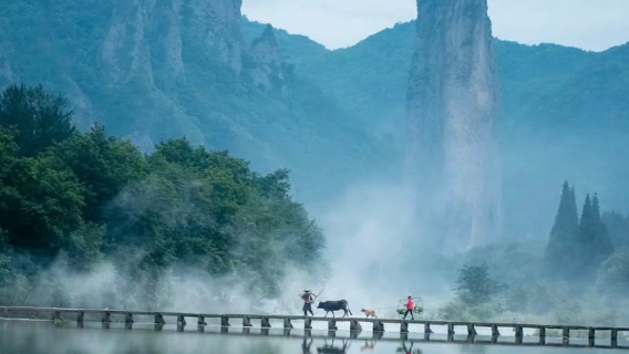 Jinyun Xiandu [Gunung Zhutan + Bilik Buku Yandang + Tebing Xiaochi + Puncak Tasik Ding] lawatan sehari pakej persendirian