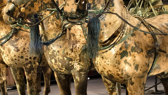 [Yunlv Fanghua] Emperor Qinshihuang's Mausoleum Site Museum + Emperor Qinshihuang's Mausoleum Site Museum - Bronze Chariots and Horses Exhibition Hall English guide 1-day tour | includes headphones