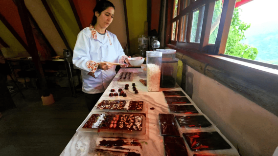 Minca: Chocolate Factory workshop with Jungle Joe