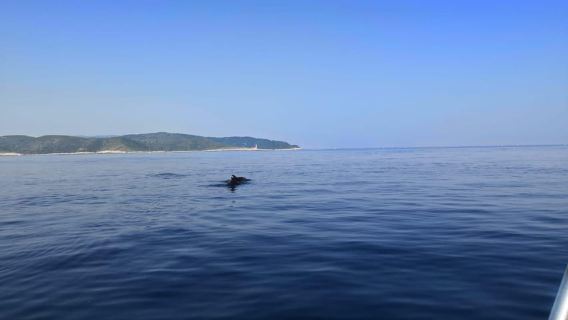 From Hvar: Unforgetable Tour to the Island Vis and Blue Cave