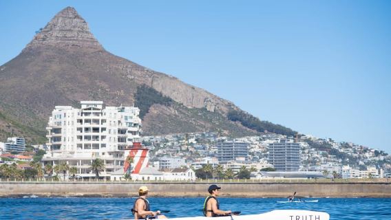 Cape Town: Dolphin & Ocean Wildlife Kayaking Adventure ️