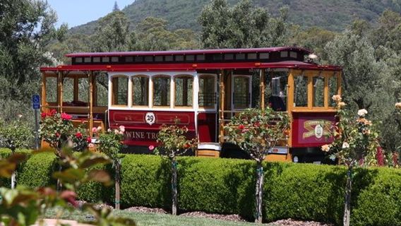 Sonoma CountyTours