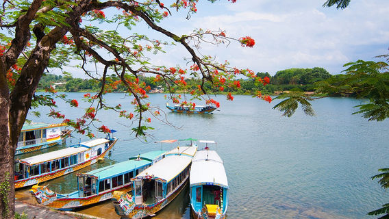 HuếTour Trong Ngày