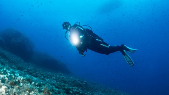 Vivi l'esperienza immersione subacquea immersione subacquea a Mirissa, Sri Lanka, per 3 ore