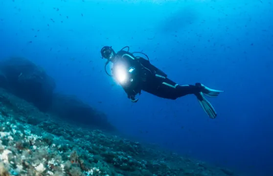 斯里蘭卡米瑞莎體驗潛水水肺潛水3小時[Scuba Diving in Mirissa]