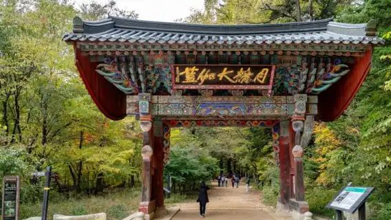 江陵秋季限定賞楓韓屋體驗兩天一夜團