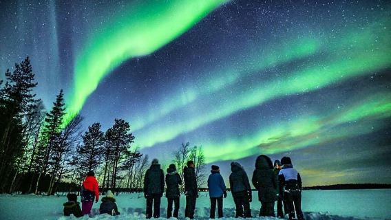 Finland Rovaniemi Northern Lights Hunt: Economy Bus Tour/Comfort Small Group/Photography Tour with Photos