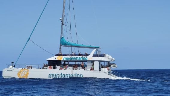 MalagaTours