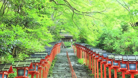 關西京都三千院+嵐山+貴船神社+伏見稻荷大社【中文司機包車】