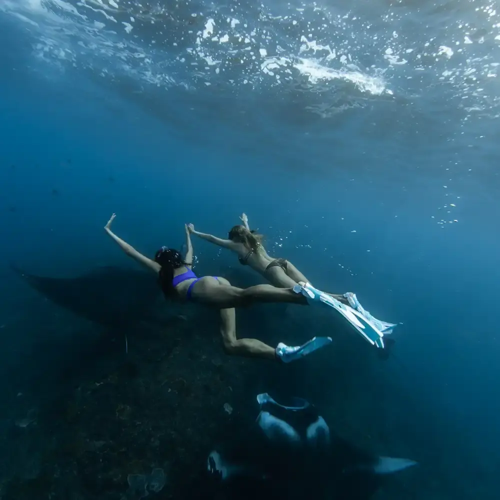 スピードボートで行くヌサペニダ - 4か所のシュノーケリング、マンタと