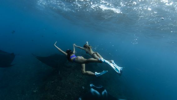 Nusa Penida en bateau rapide - Snorkeling à 4 spots, nage avec les raies manta, visite terrestre