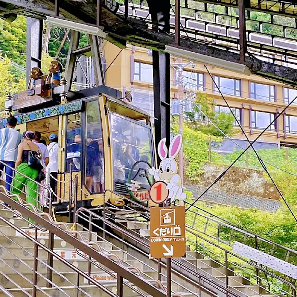 Tokyo Mt. Fuji Kawaguchiko Panoramic Ropeway, Oshino Hakkai, and